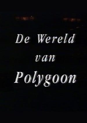 The World of Polygoon