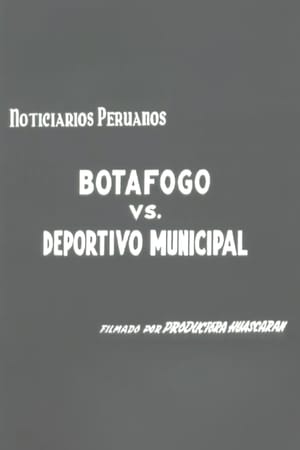 Botafogo vs Deportivo Municipal