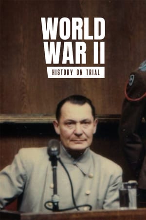 World War II: History on Trial