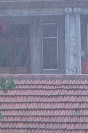 The Rain in a New Place