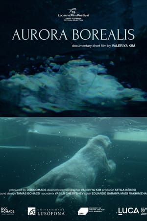 Aurora Borealis