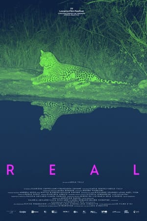 Real