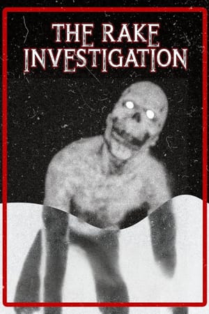 The Rake Investigation