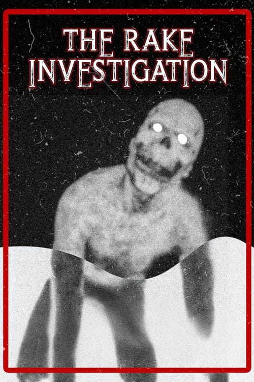 The Rake Investigation