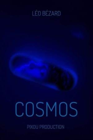 Cosmos