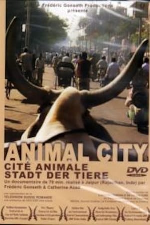 Animal City
