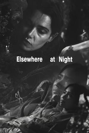 Elsewhere at Night