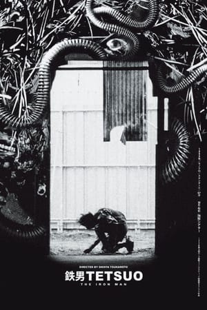 Tetsuo: The Iron Man