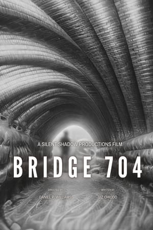 Bridge 704