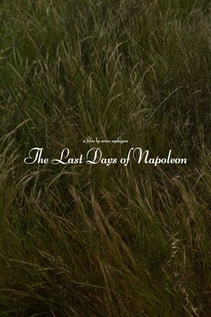 The Last Days of Napoléon