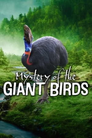 Mystery of the Giant Birds
