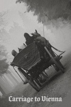 Carriage to Vienna