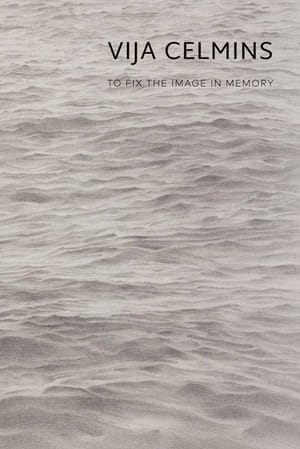 Vija Celmins: To Fix the Image in Memory