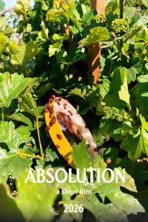 Absolution