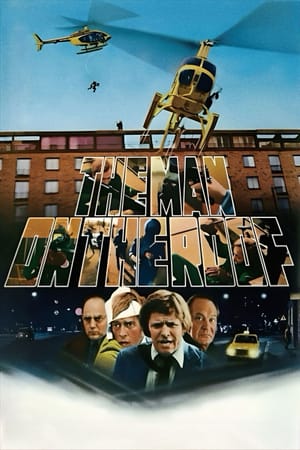 Man on the Roof