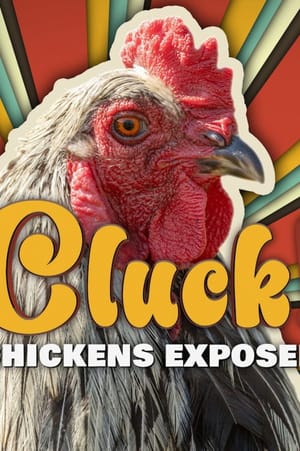 Cluck! Chickens Exposed