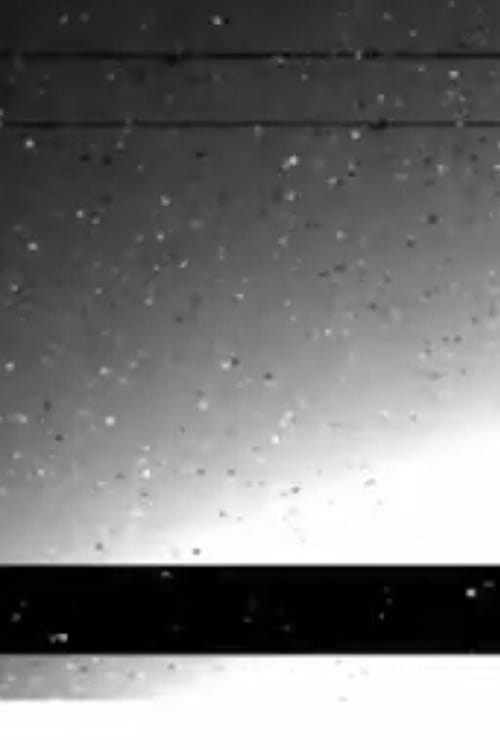 Black Rain