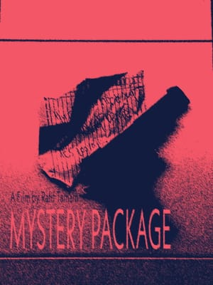 Mystery Package