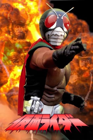 Kamen Rider Skyrider