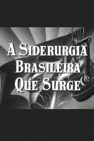 A Siderurgia Brasileira que Surge