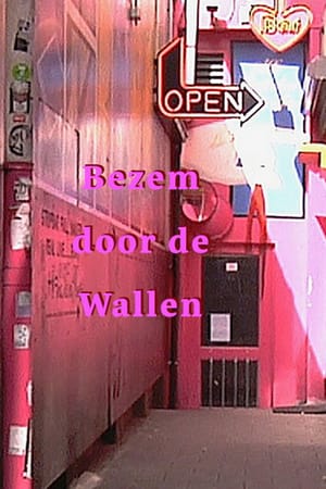 Bezem door de wallen