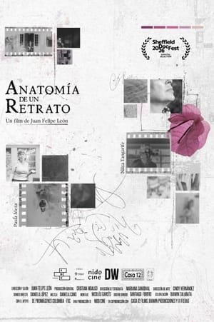 Anatomía de un retrato