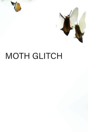Moth Glitch