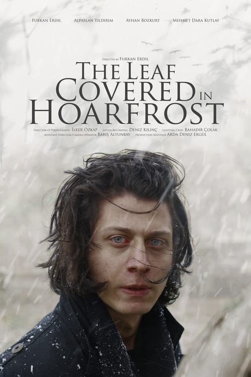 The Leaf Covered in Hoarfrost