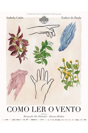 Como Ler o Vento