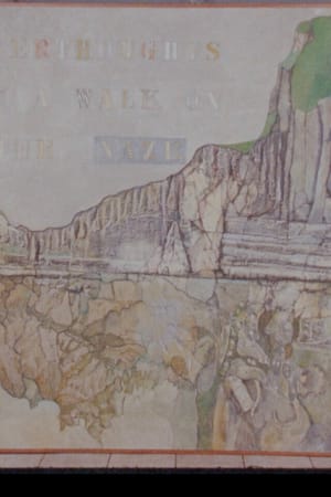 Afterthoughts of a Walk on the Naze