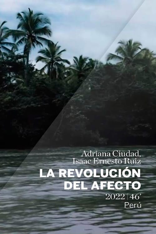 La revolución del afecto