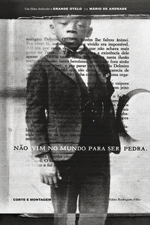 Não Vim no Mundo para Ser Pedra