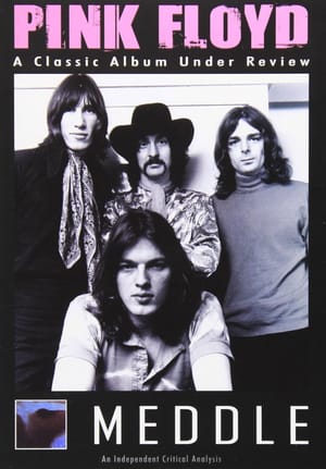 Pink Floyd: Meddle - A Classic Album Under Review