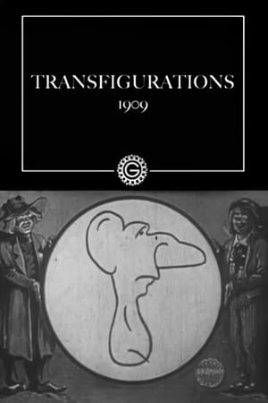 Transfigurations