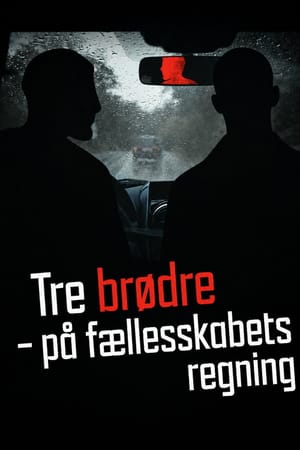 Tre brødre - På fælleskabets regning