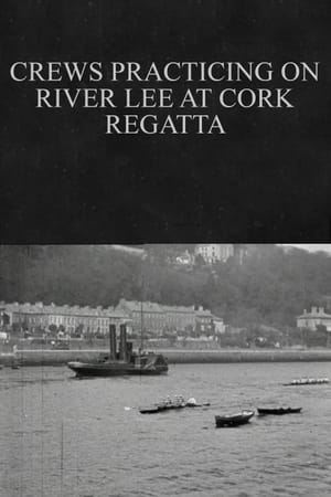 Crews Practicing on River Lee at Cork Regatta