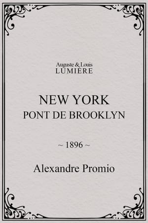 New York, Brooklyn Bridge